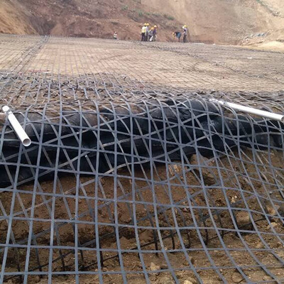 經編土工格柵