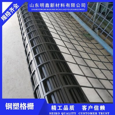 景德鎮(zhèn)鋼塑土工格柵-實(shí)體工廠